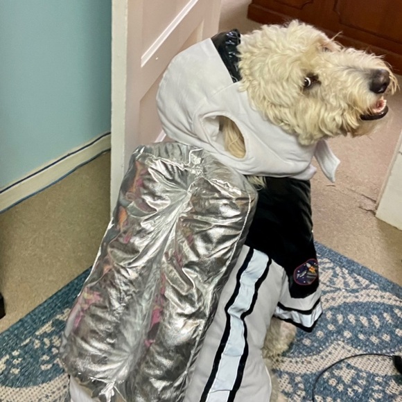2XL Dog-Space Pup Costume-Big on my 100 Lb Double Doodle - Picture 2 of 6
